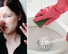 Jak pozbyć się brzydkiego zapachu z toalety i utrzymać czystość? Ten domowy sposób rozwiąże wszystkie problemy