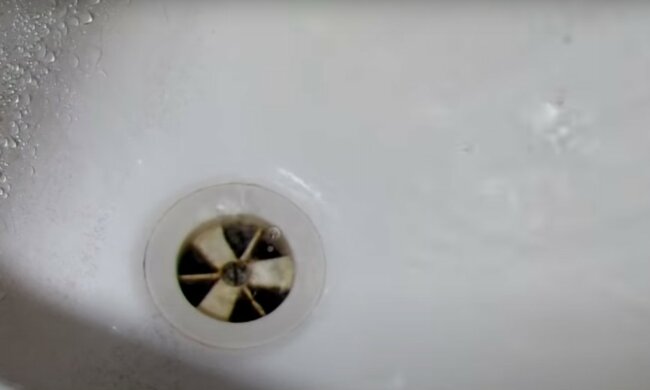 Z odpływu jej wanny zaczął wydostawać się nieproszony gość. To mogło skończyć się naprawdę źle. O czym mowa