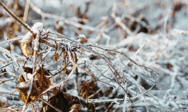 Sztab kryzysowy w gotowości. Zima komplikuje sytuację w Sylwestra