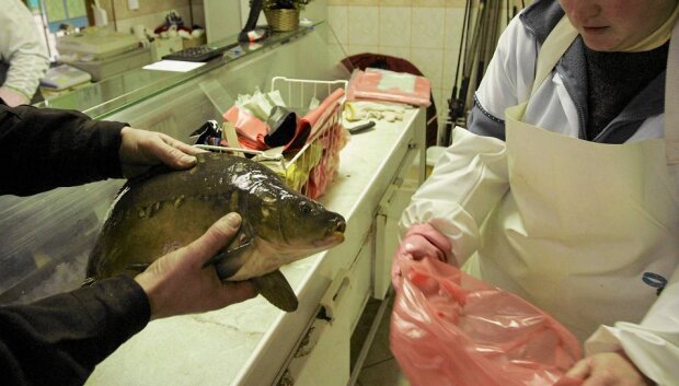 Niewiarygodne, co działo się w tym markecie. Żywe ryby zostały porzucone przy kasie
