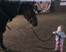 Niesamowity przypadek przyjaźni rocznej dziewczynki i konia. Gdy dziecko wyprowadza zwierzę na spacer, od razu staje się sensacją