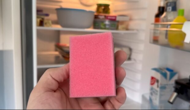Gąbka w lodówce/YouTube @Smart Fox