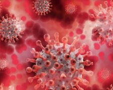 Małopolska: sanepid opublikował dane dotyczące zakażeń koronawirusem. W Krakowie sytuacja jest coraz gorsza
