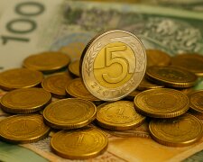 Te miesiące sprzyjają bogactwu! Numerolodzy ujawniają, kiedy rodzą się przyszli milionerzy