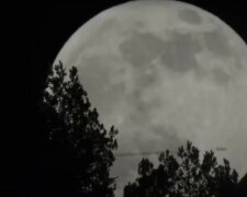 Pełnia Wilczego Księżyca/Youtube