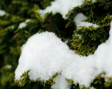 Pierwsze opady śniegu mogą nadejść szybciej, niż myślisz. Są nowe prognozy na zimę
