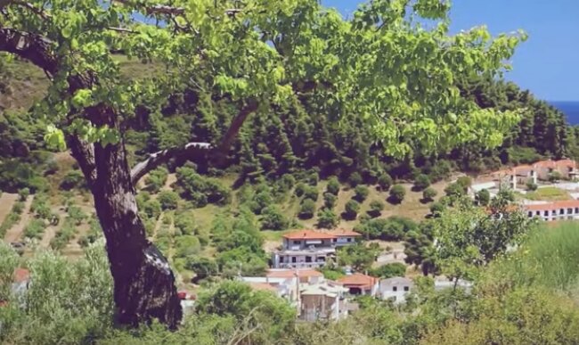 Wakacje. Źródło: Youtube