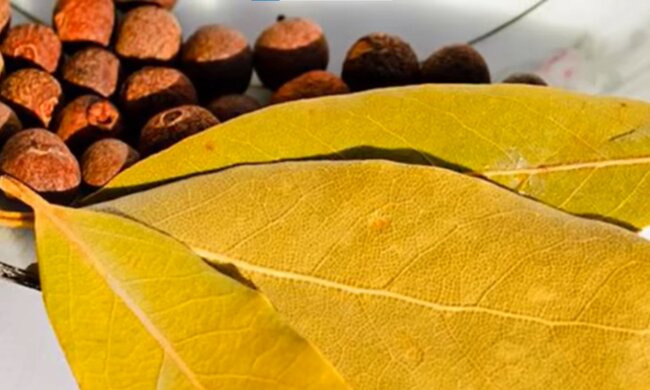 screen Youtube @zdorovye sovety