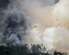 Pilne! Samolot gaśniczy rozbił się w Polsce. Służby potwierdzają jedną ofiarę