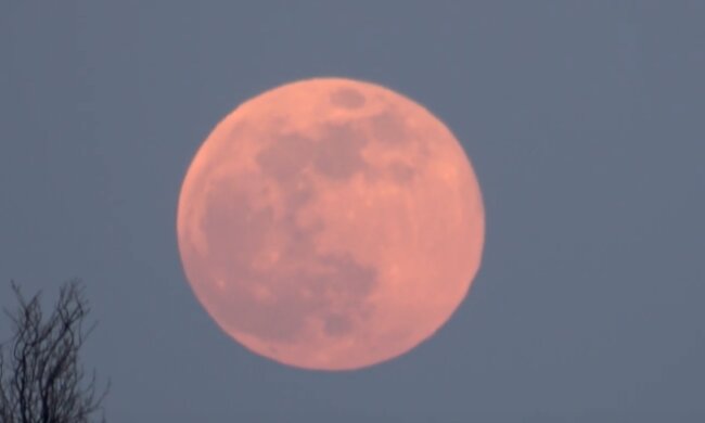 Pełnia. Źródło: YouTube