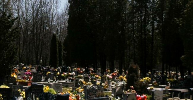 Kobieta widząc, co jest na kartce przyczepionej do nagrobka rzuca się do ucieczki. O co chodzi