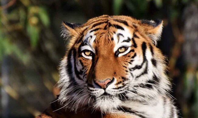 Numerologia, screen YT