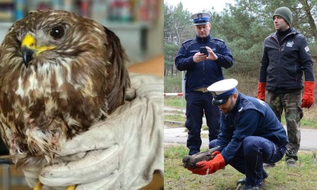 Niezwykły gest policjantów z Trójmiasta. Tak wrażliwi powinni być mundurowi w całej Polsce