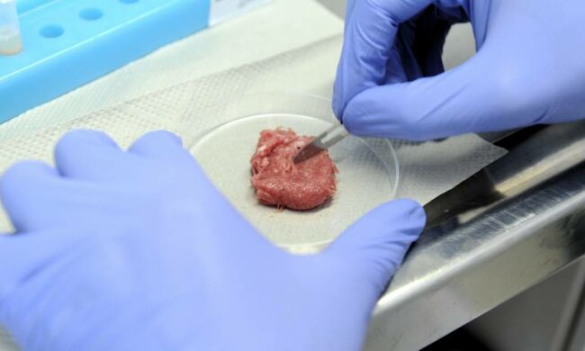 Przeprowadził badania na sklepowym drobiu. Dopatrzył się nieprawidłowości w sklepie znanej sieci