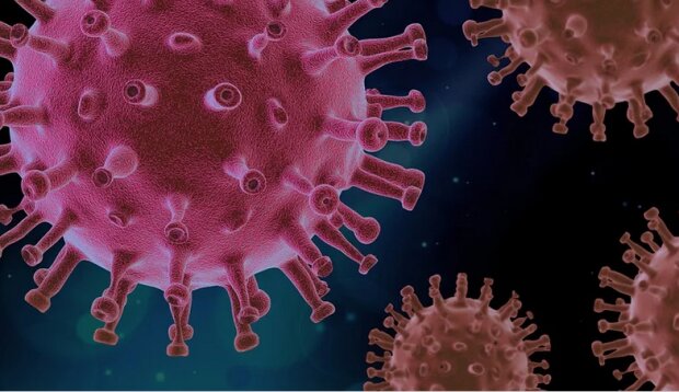 Ministerstwo Zdrowia podało najnowszy raport dotyczący zakażeń koronawirusem. Rekordowy wzrost