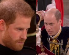 Książę Harry, książę William/ YouTube @BBC NEWS