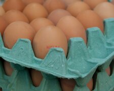 Jesienią jajka będą dużo droższe/screen Pixabay