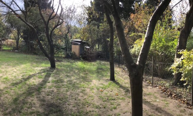 Działka ROD, źródło: YouTube/ tatakodzi