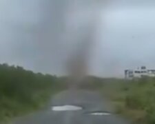 Tornado komarów/ Twitter @ Moh Musthafa Hussain