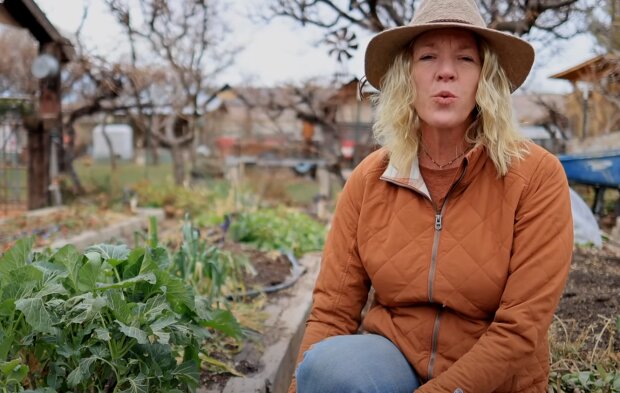 Bezczelna matka, źródło: YouTube/Ali's Organic Garden & Homestead