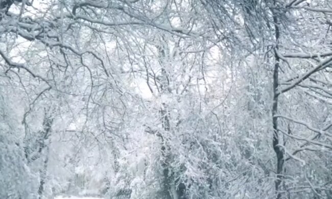 Śnieg/YouTube @Stardust Vibes - Relaxing Sound