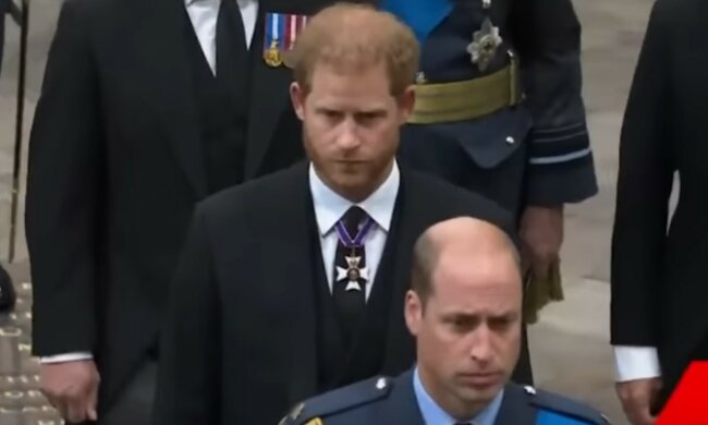 Harry i William / YouTube: Nicki Swift