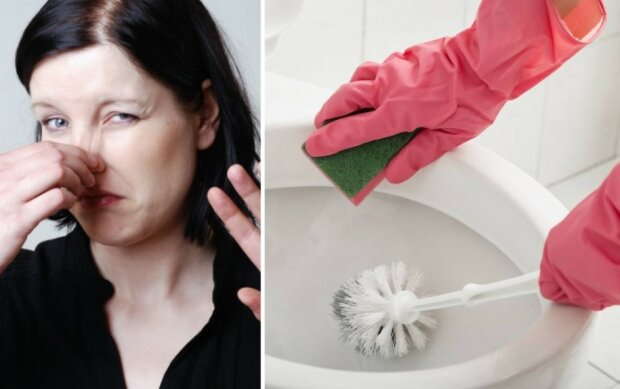 Jak pozbyć się brzydkiego zapachu z toalety i utrzymać czystość? Ten domowy sposób rozwiąże wszystkie problemy
