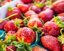 Truskawki/YouTube @TRUE FOOD TV