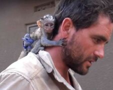 Mężczyzna uratował małpę od ognia, a ona mu podziękowała, screen Google