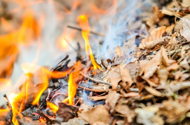 Wypalanie gałęzi i liści niesie poważne konsekwencje. Niektórzy mogą zostać nawet ukarani