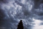 Wichura uderzyła z ogromną siłą. W kilkanaście minut zniszczyła całą okolicę
