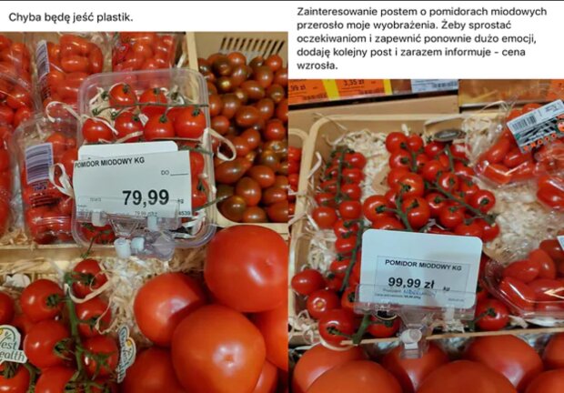 Cena pomidorów/o2.pl