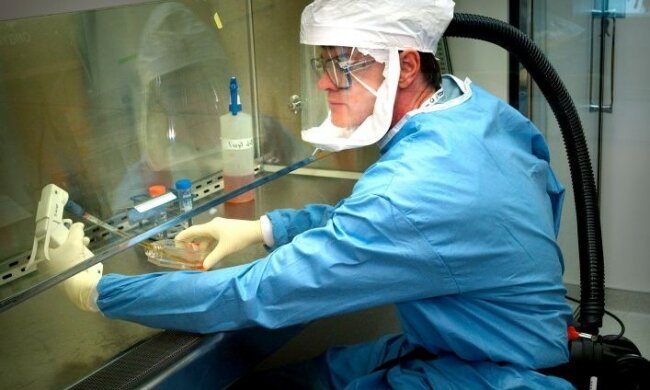 Nowe ognisko zakażeń/screen Youtube