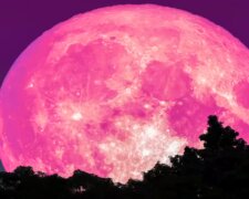 Czeka nas wyjątkowa pełnia księżyca. Na niebie królował będzie truskawkowy księżyc. Kiedy będzie można go zobaczyć?