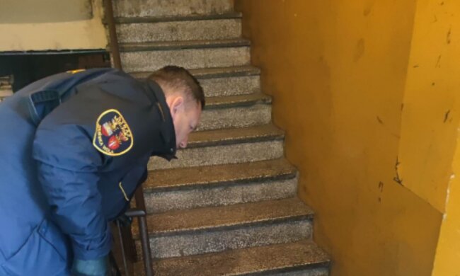 Niebezpieczny pająk/Facebook @Straż Miejska w Zduńskiej Woli