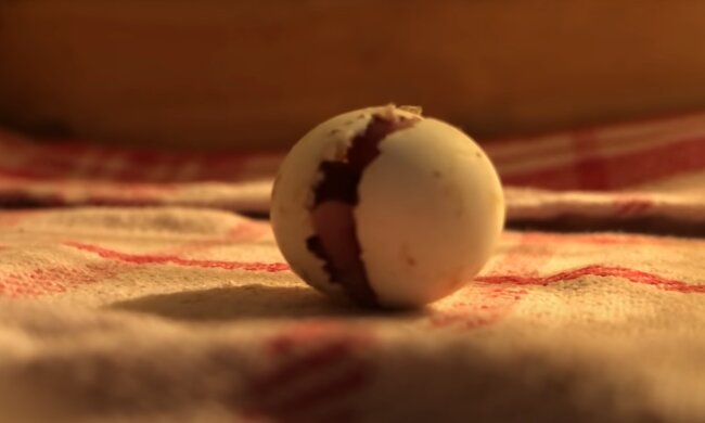 źródło: YouTube/A Chick Called Albert