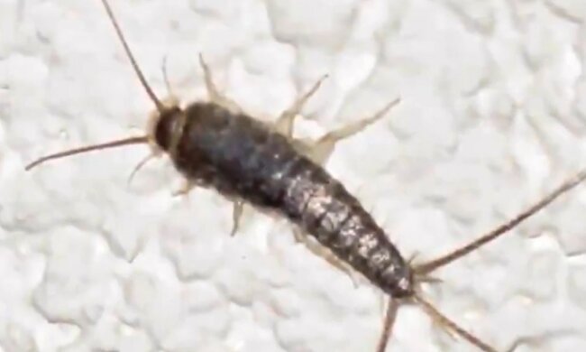 screen Youtube @Aktualności 360