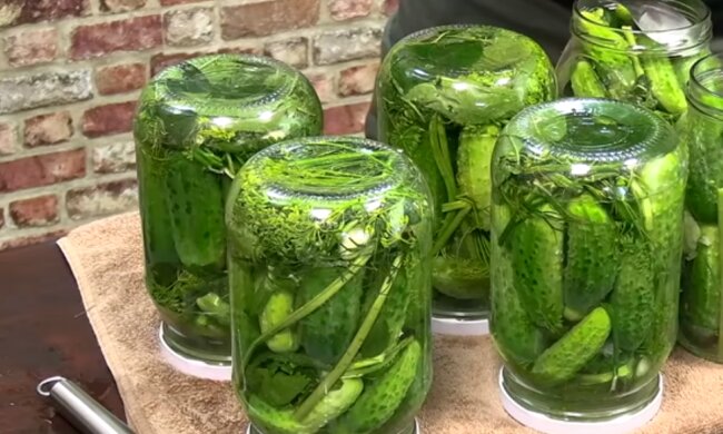 Ogórki kiszone/YouTube @Tomasz Strzelczyk ODDASZFARTUCHA