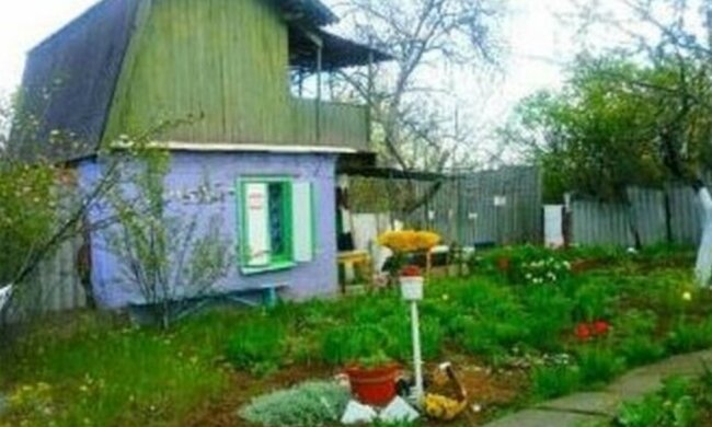 Moja teściowa sama dała nam dom na wsi, a kiedy usunęłam wszystkie grządki, wpadła w histerię