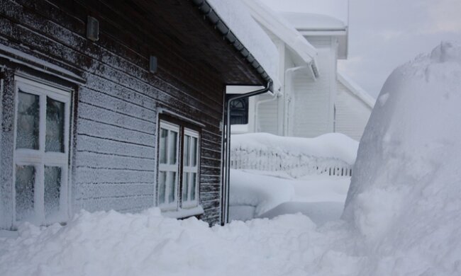 Zima. Źródło: tygodnik-rolniczy.pl