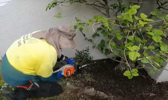 źródło: YouTube/ Quick Cuts