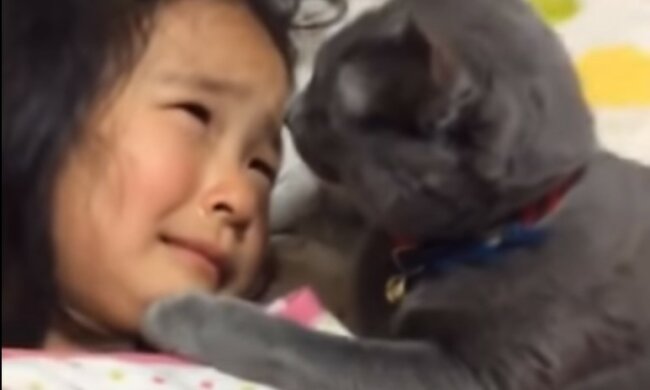 Dziewczynka i kotek/screen YouTube @Hardik's offbeat