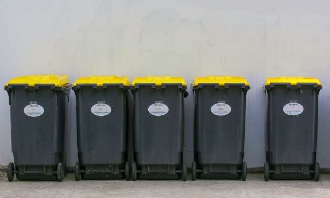 Nie każdy Polak musi płacić za śmieci. Oto kogo dotyczą zwolnienia z opłat