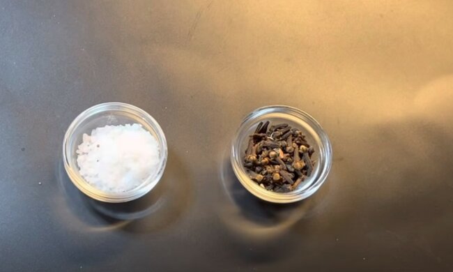 źródło: YouTube/Cute Flora