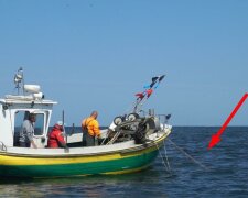 Niepokojące doniesienia na temat ryb żyjących w Bałtyku. Specjaliści przestrzegają, których ryb nie jeść