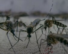 źródło: YouTube/Cuda Świata