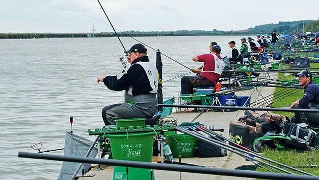 Wędkarstwo. Źródło: wiadomosciwedkarskie.com.pl