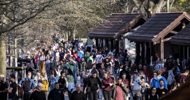 Niemcy tłumnie wychodzą na spacery. Źródło: rmf24.pl