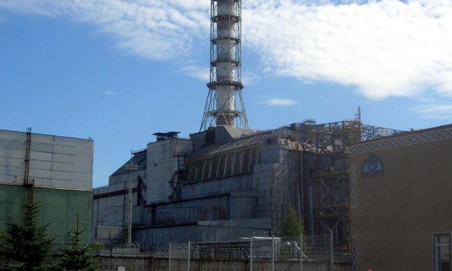 Wielkie odkrycie w Czarnobylu. Kamery zamontowane w lesie pokazały coś niezwykłego