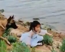 Pies uratował kilkuletnią dziewczynkę nad wodą. Wzruszające nagranie robi furorę w sieci
